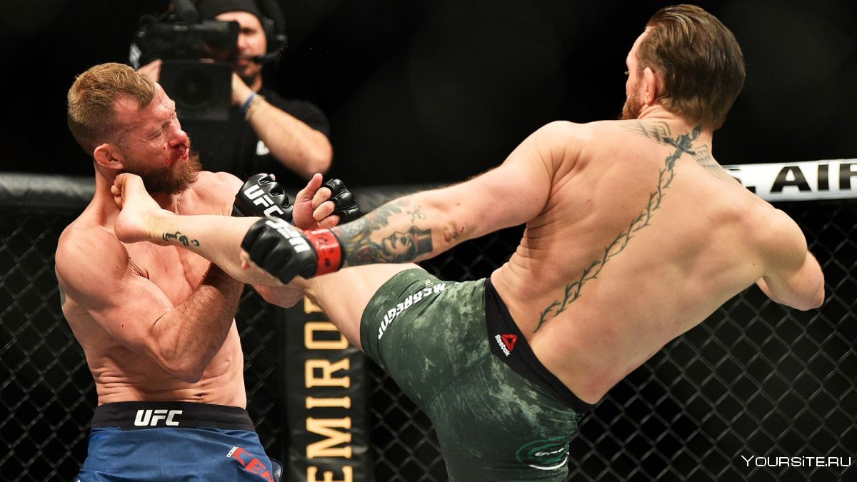 Боец UFC Йоанна Енджейчик