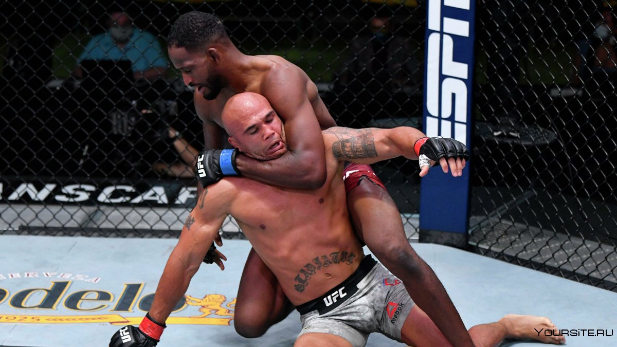 Лиана Джоджуа UFC