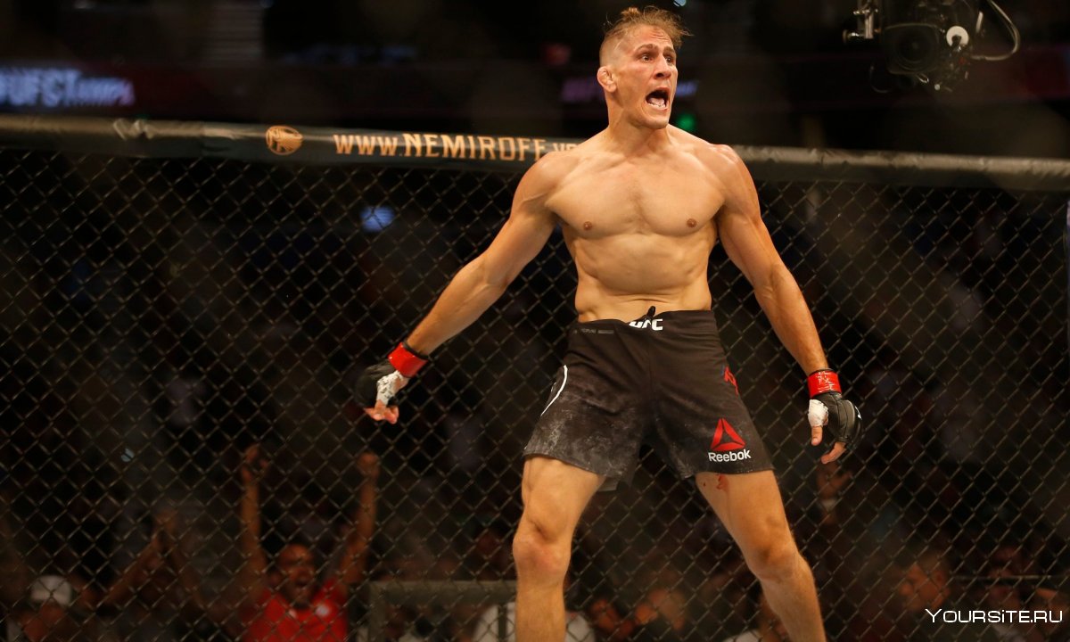 Бразильские бойцы UFC