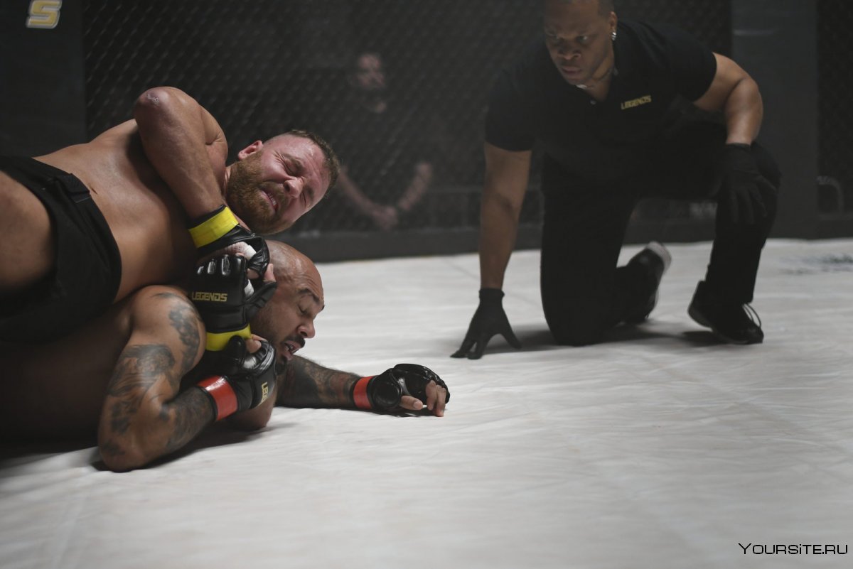 Мексиканские бойцы UFC