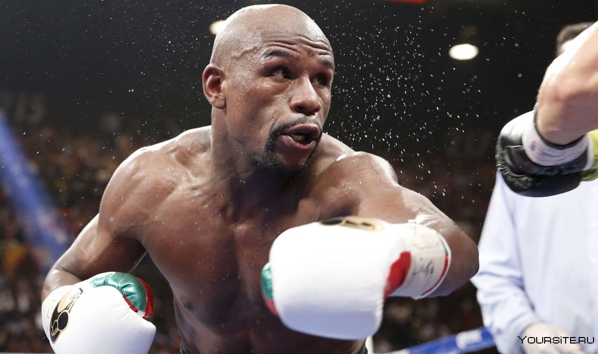 Боксер Mayweather