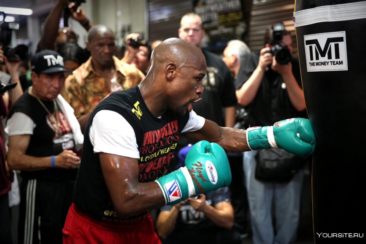 Winning Floyd Mayweather