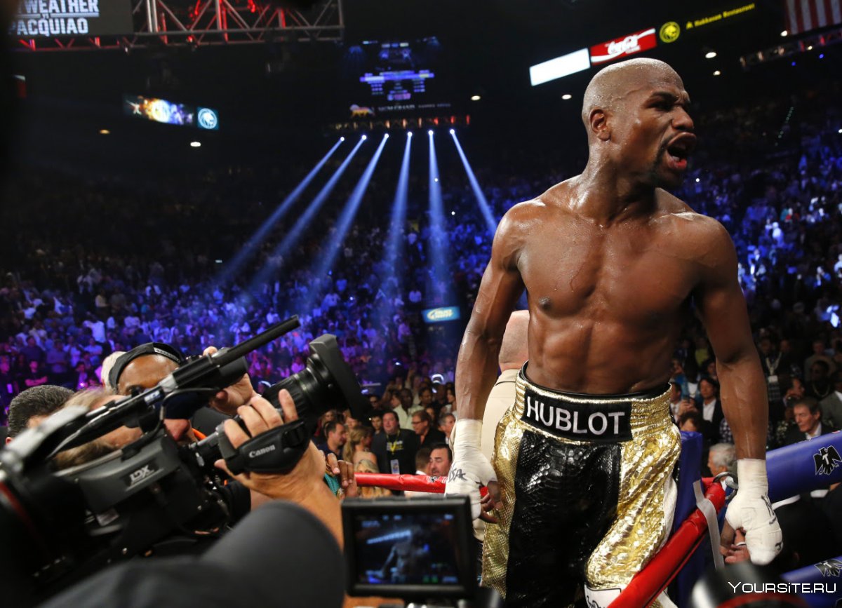Floyd Mayweather в 15