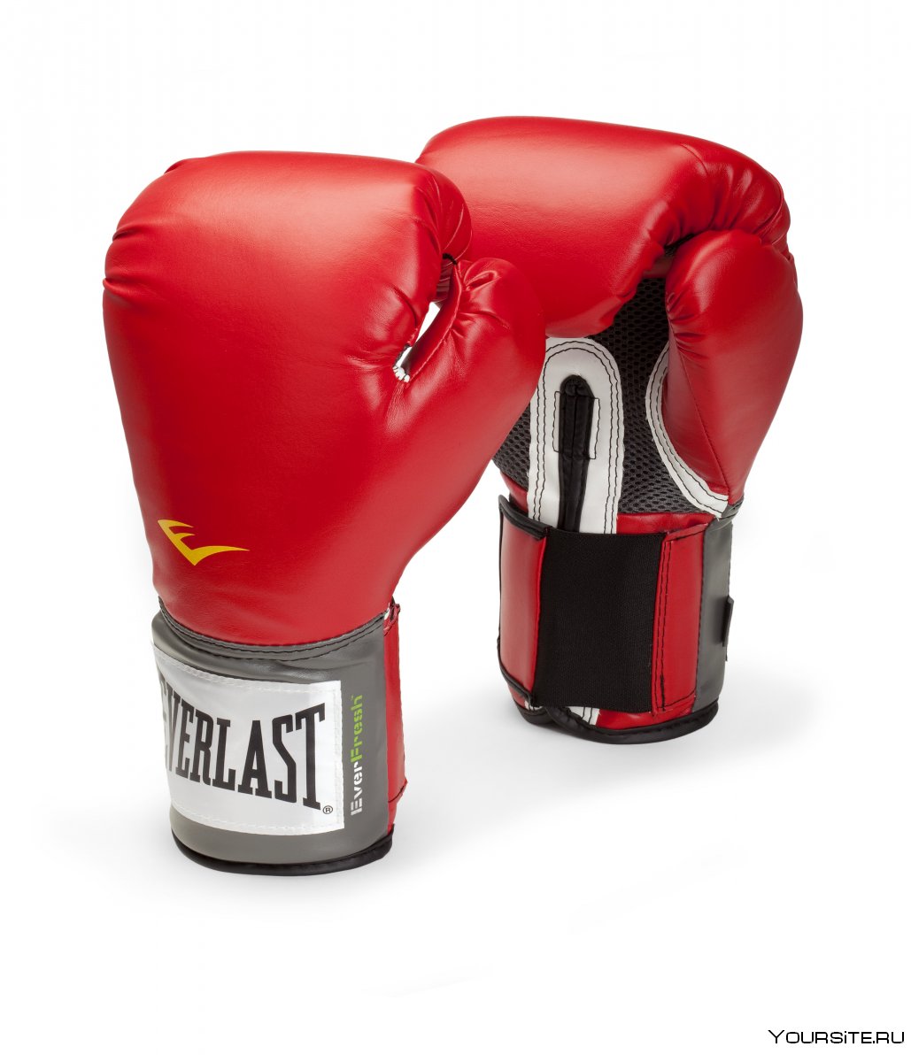 Боксерские перчатки Everlast PU Pro Style Anti-MB