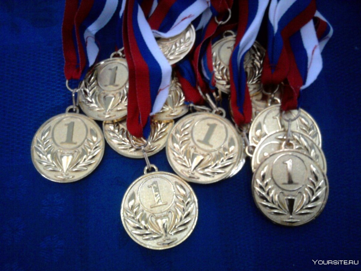 Серебряная медаль по дзюдо