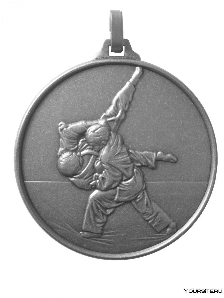 Золотая медаль дзюдо