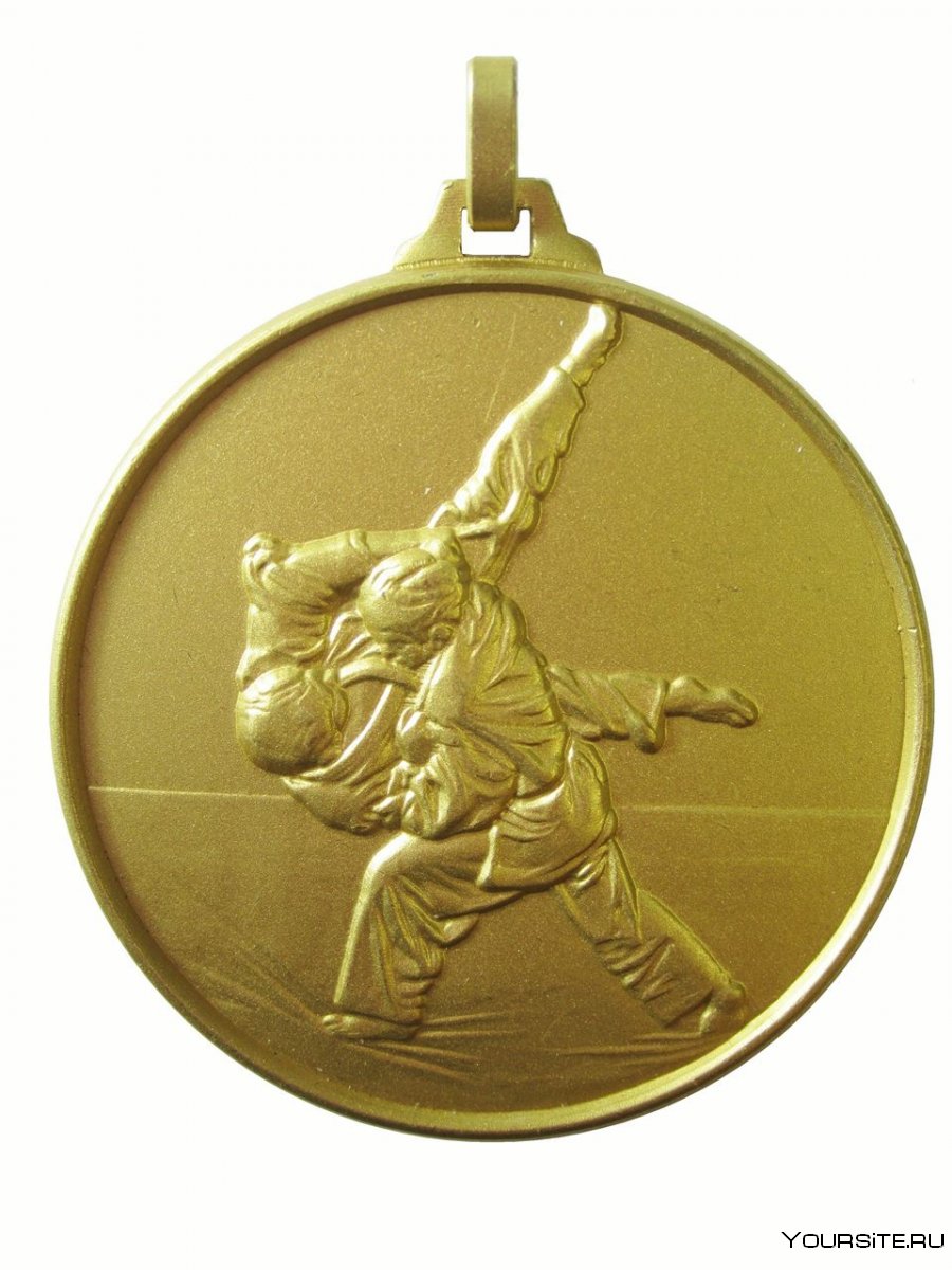 Золотая медаль по дзюдо