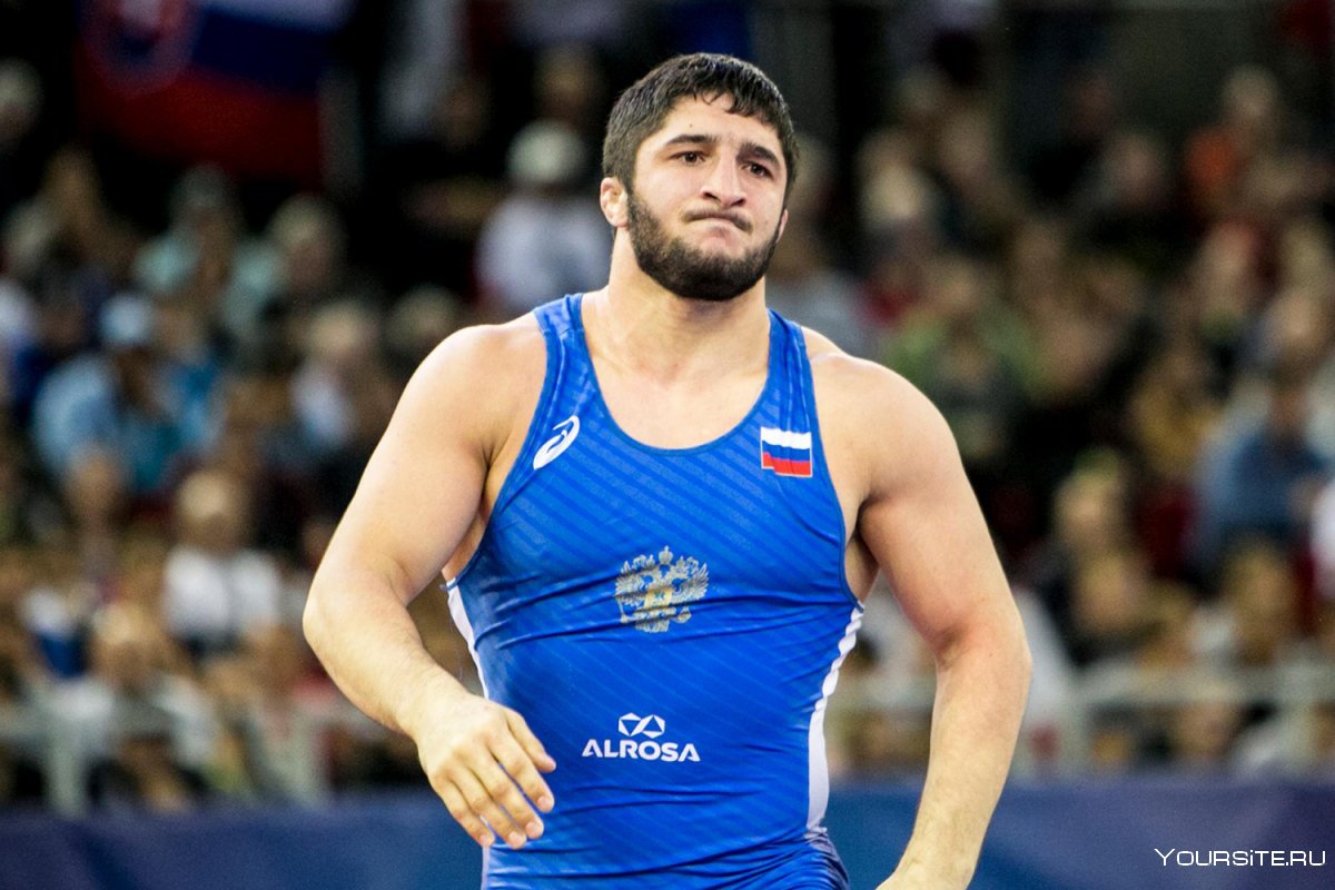 Борцы тело Садулаев