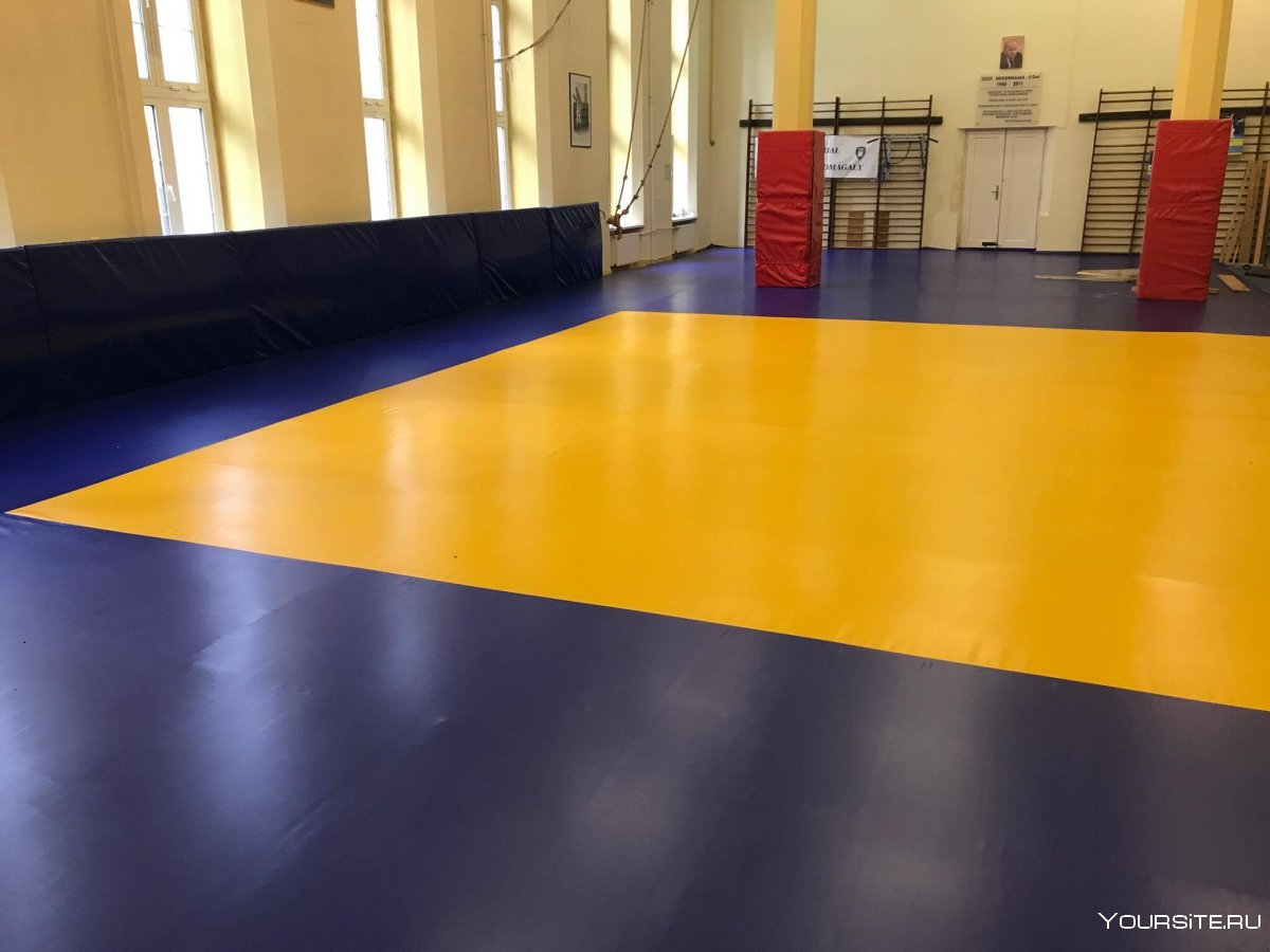 Татами Judo