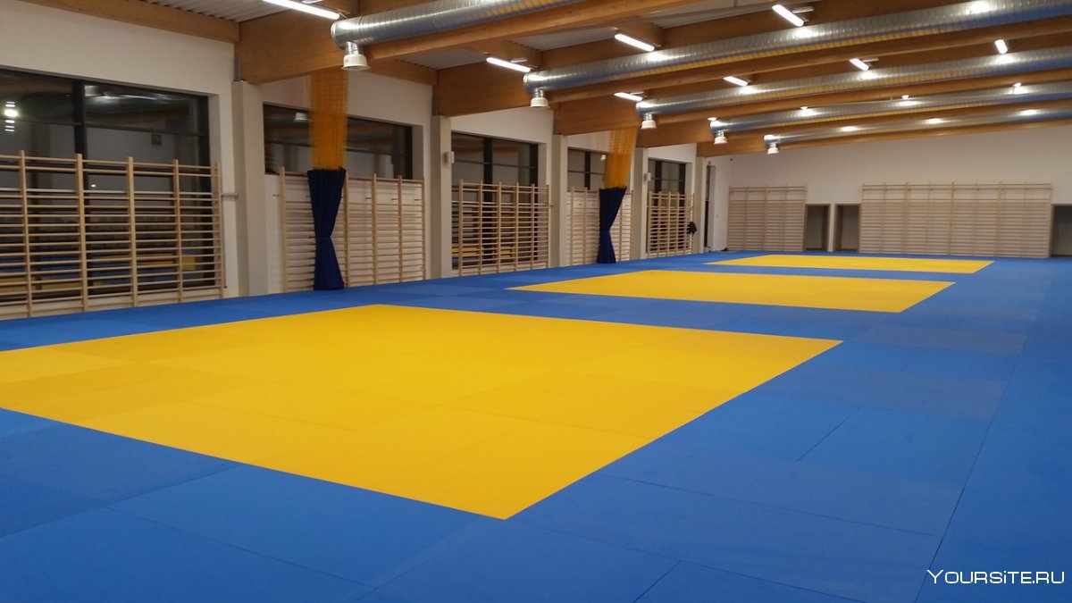 Татами для дзюдо 2*1*0,4 для дзюдо