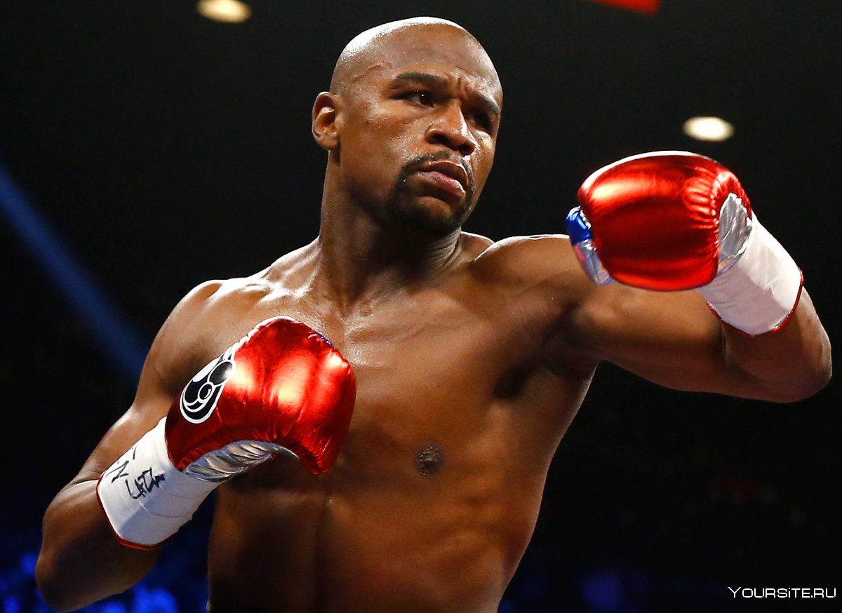 Боксер Mayweather