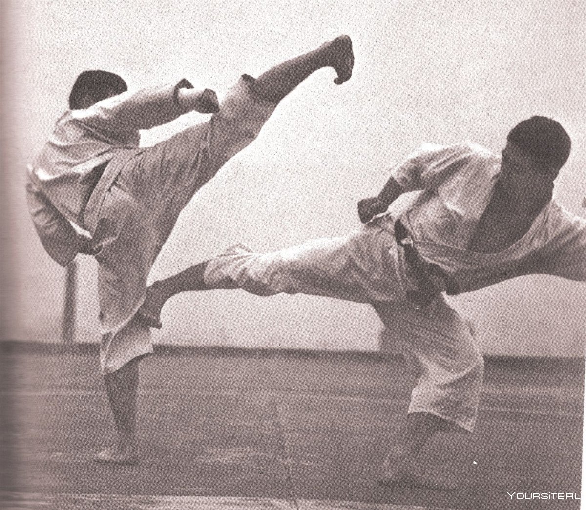 Okinawa Karate