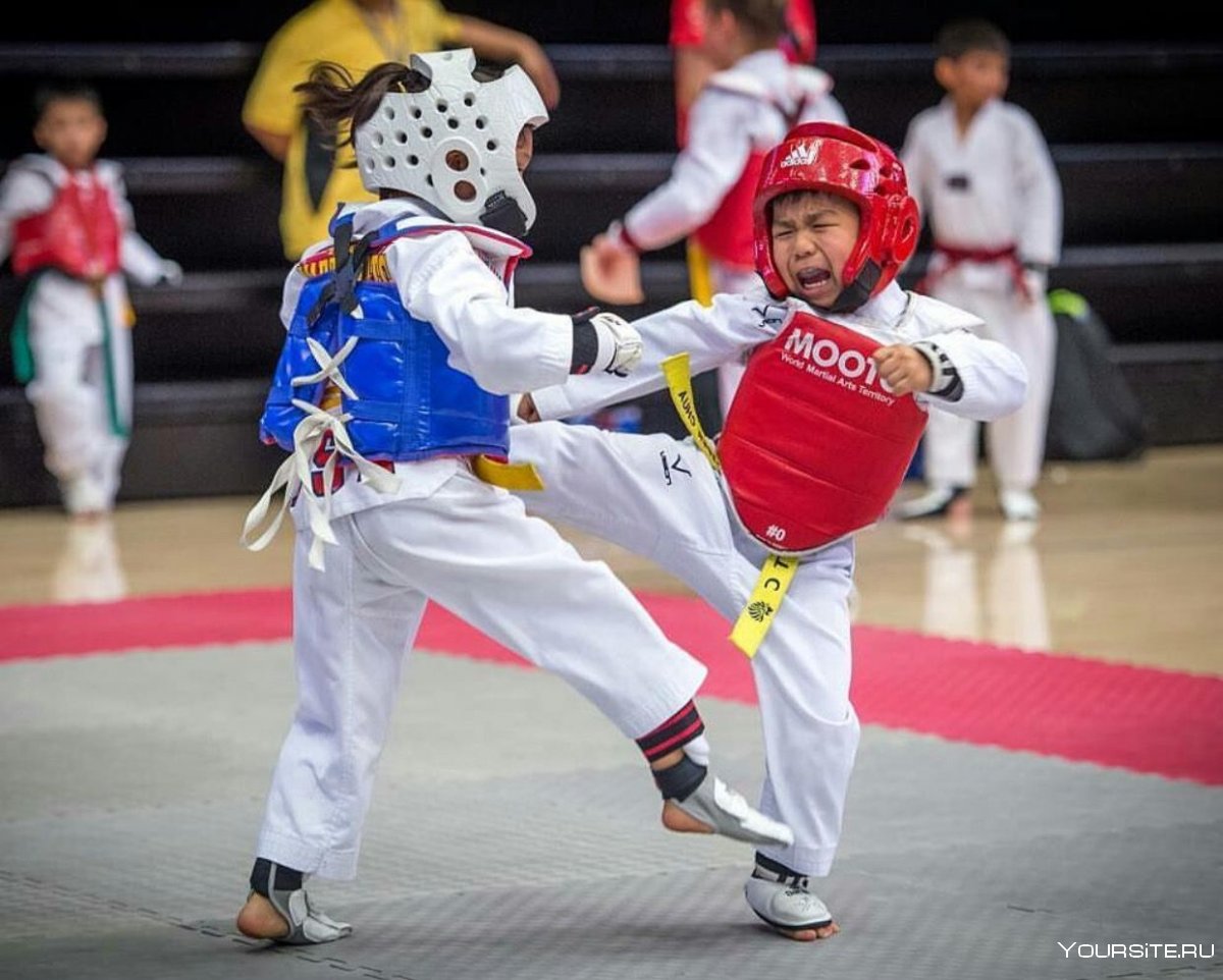 Taekwondo WTF для детей