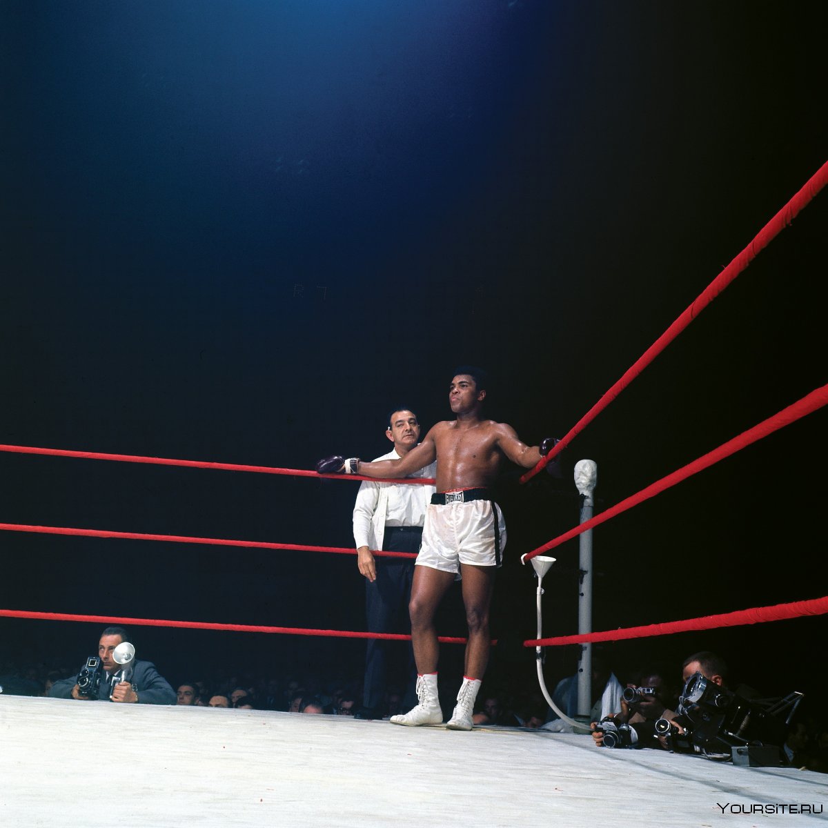 Мухаммед Али фото на ринге