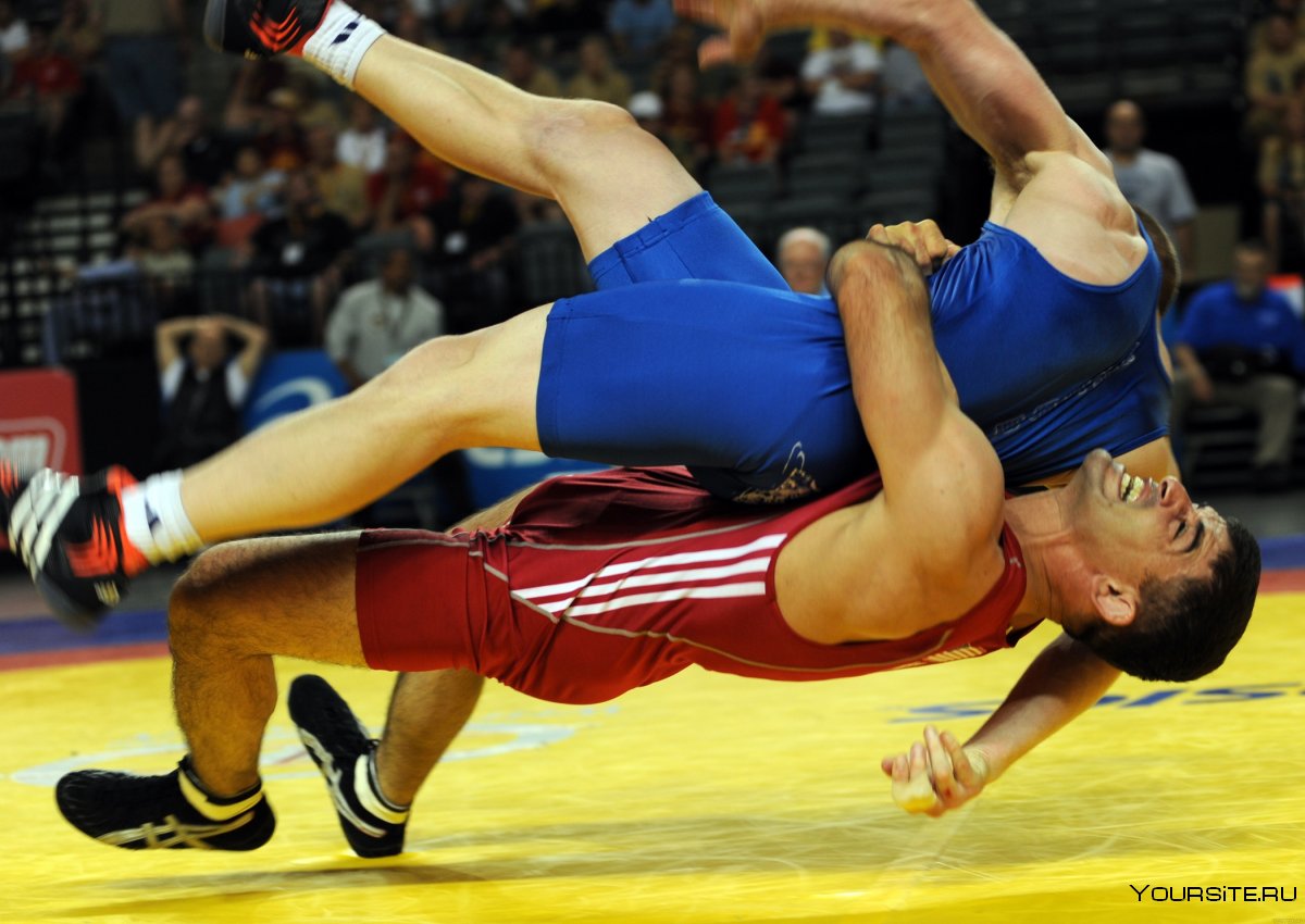 Wrestling Вольная борьба