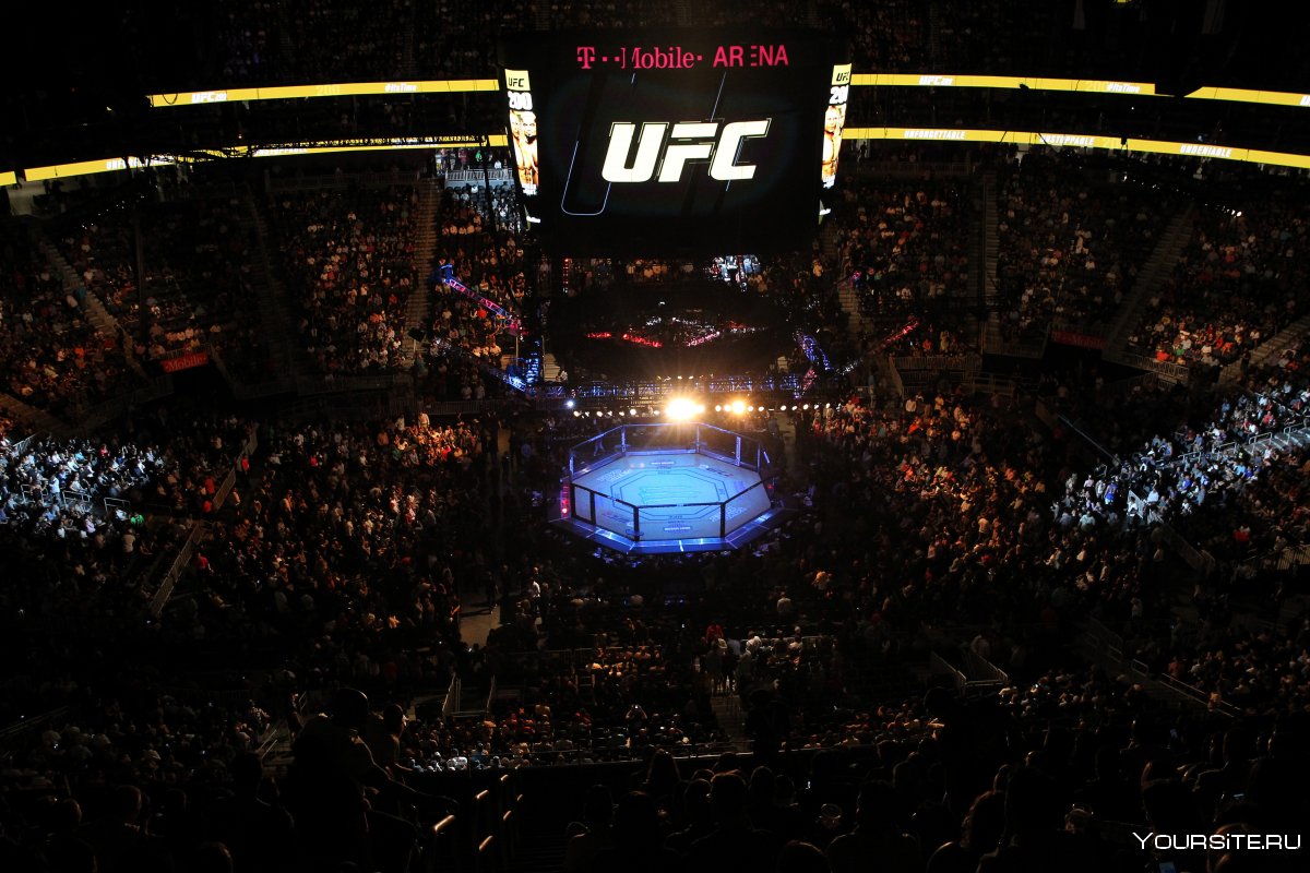 Октагон UFC background