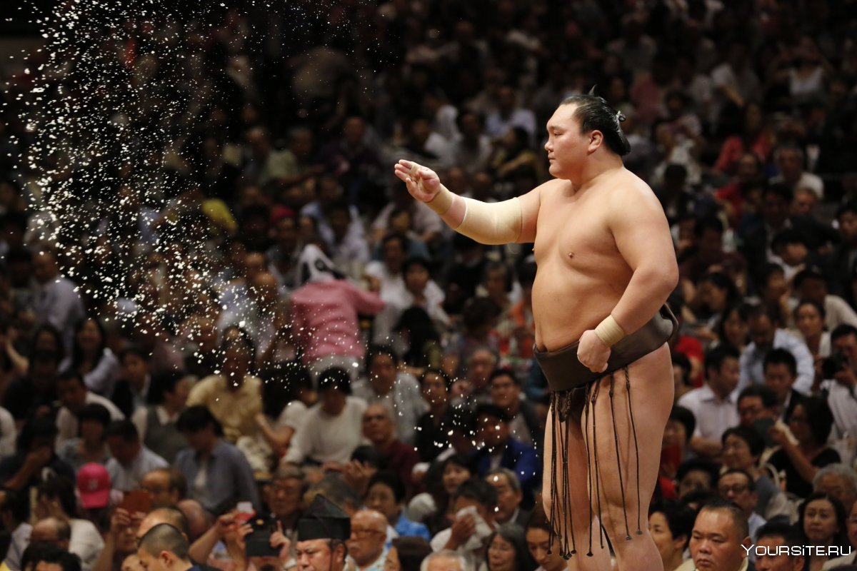 Борьба сумо древней Японии