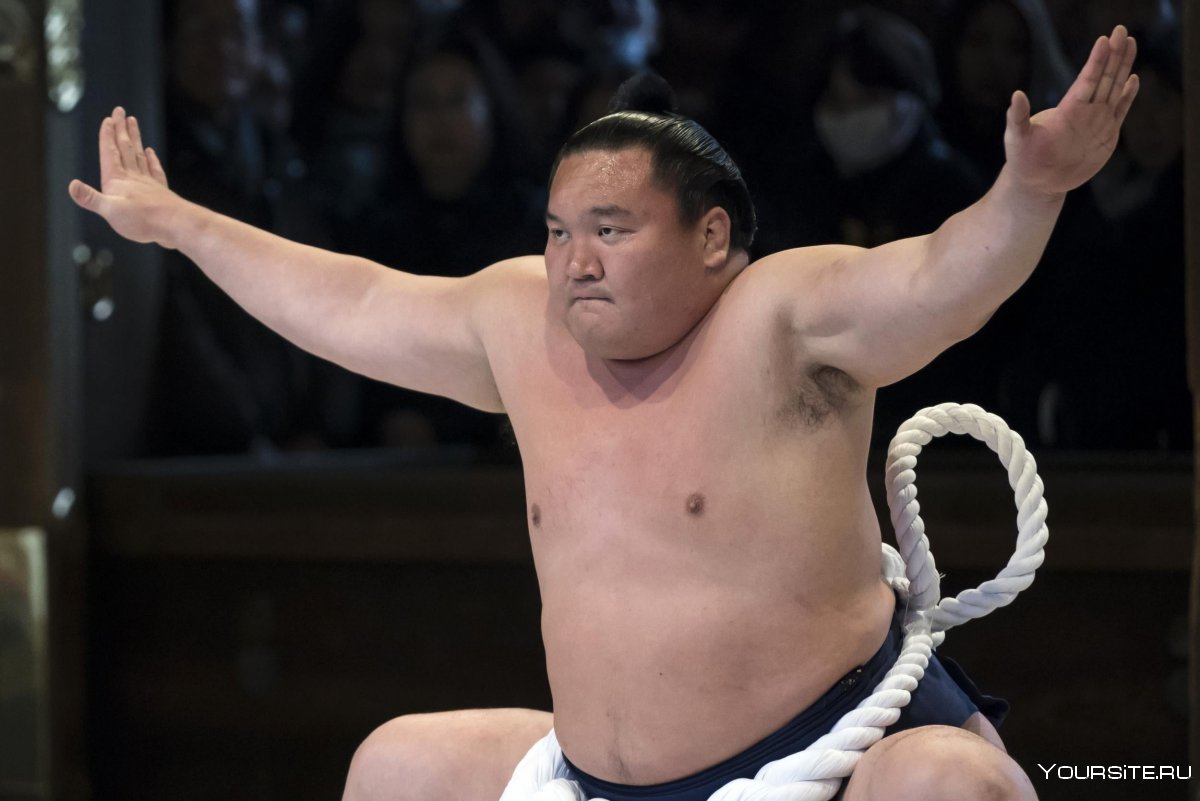 Монголы чемпионы сумо