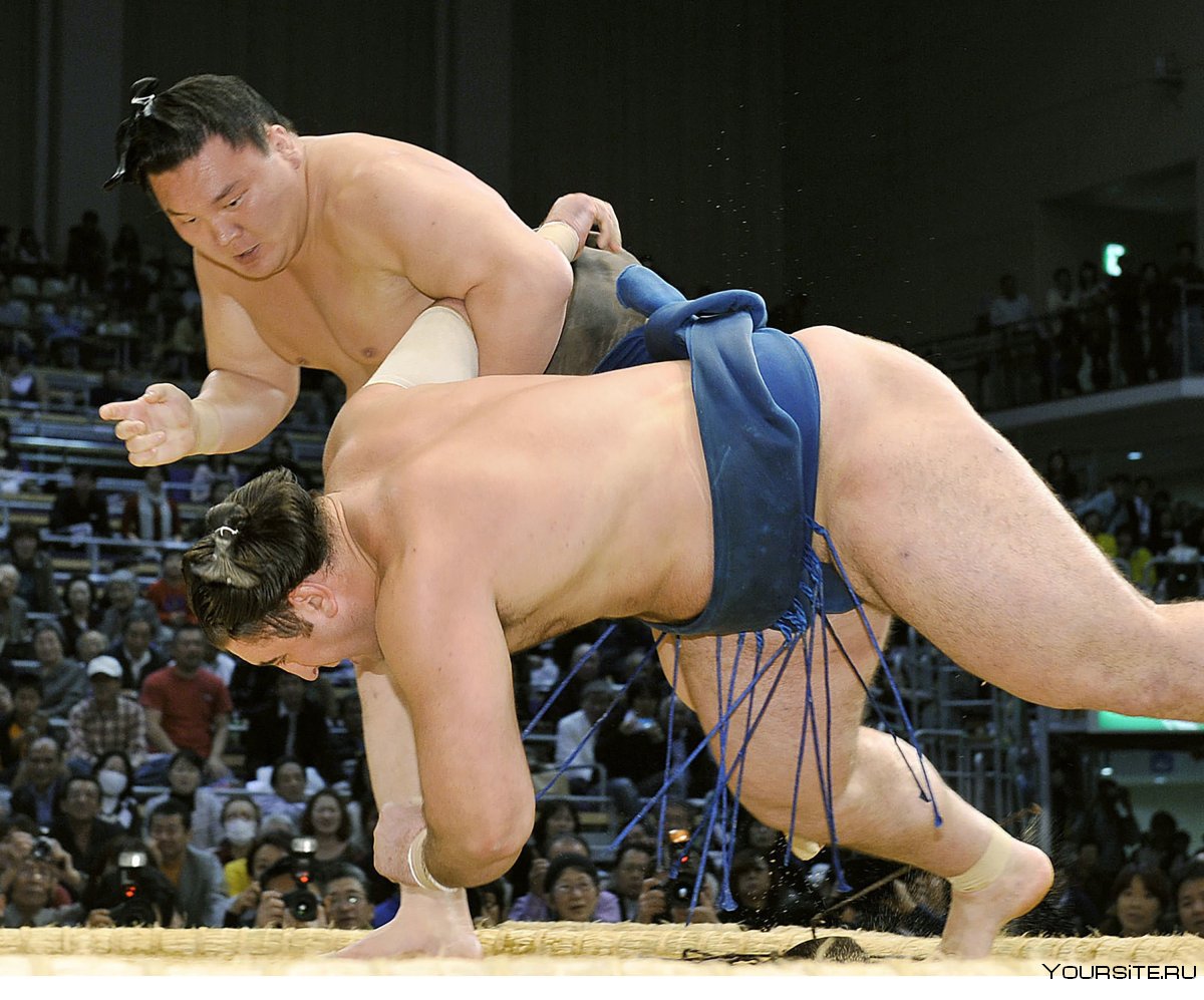 Борец сумо Хакухо завершил карьеру
