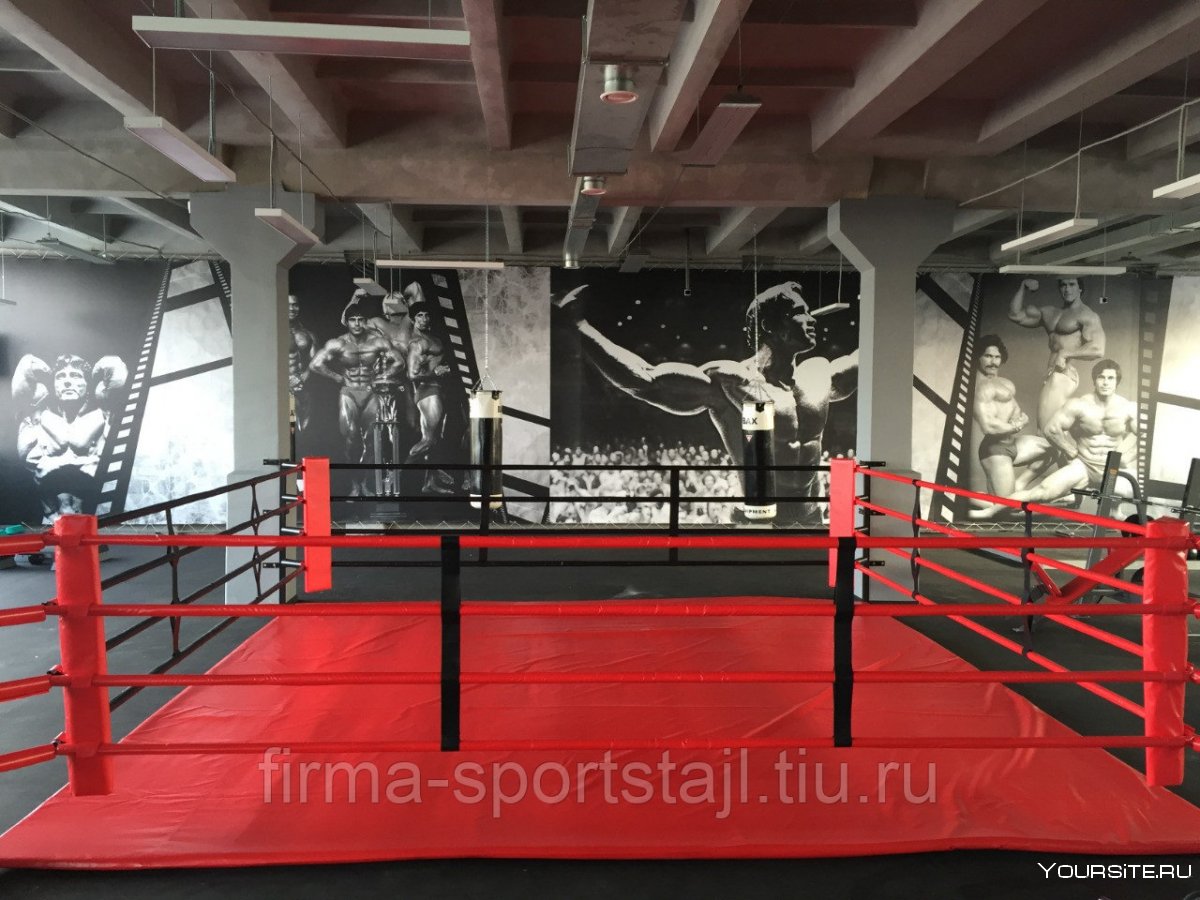 Ринг Everlast напольный evrf44