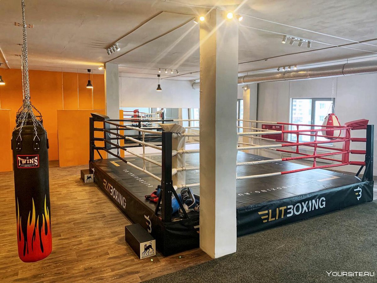 ELITBOXING Митино