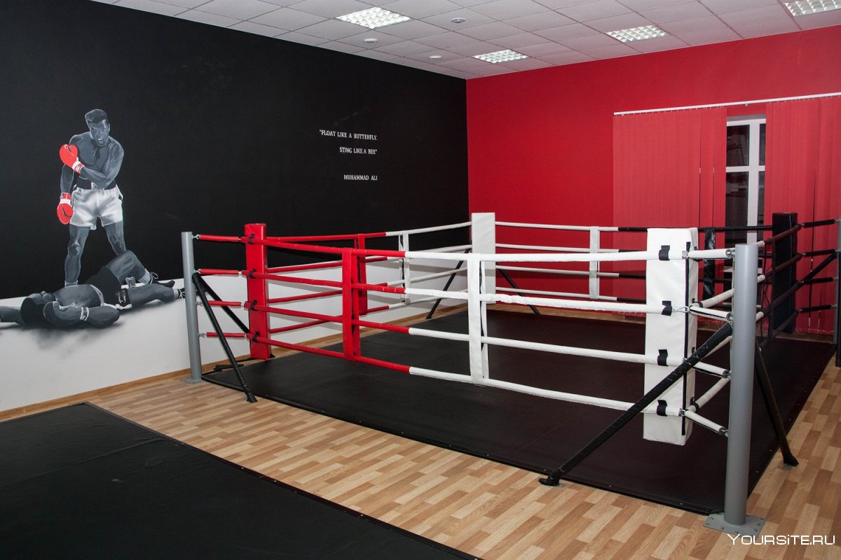 Ринг Everlast напольный evrf44