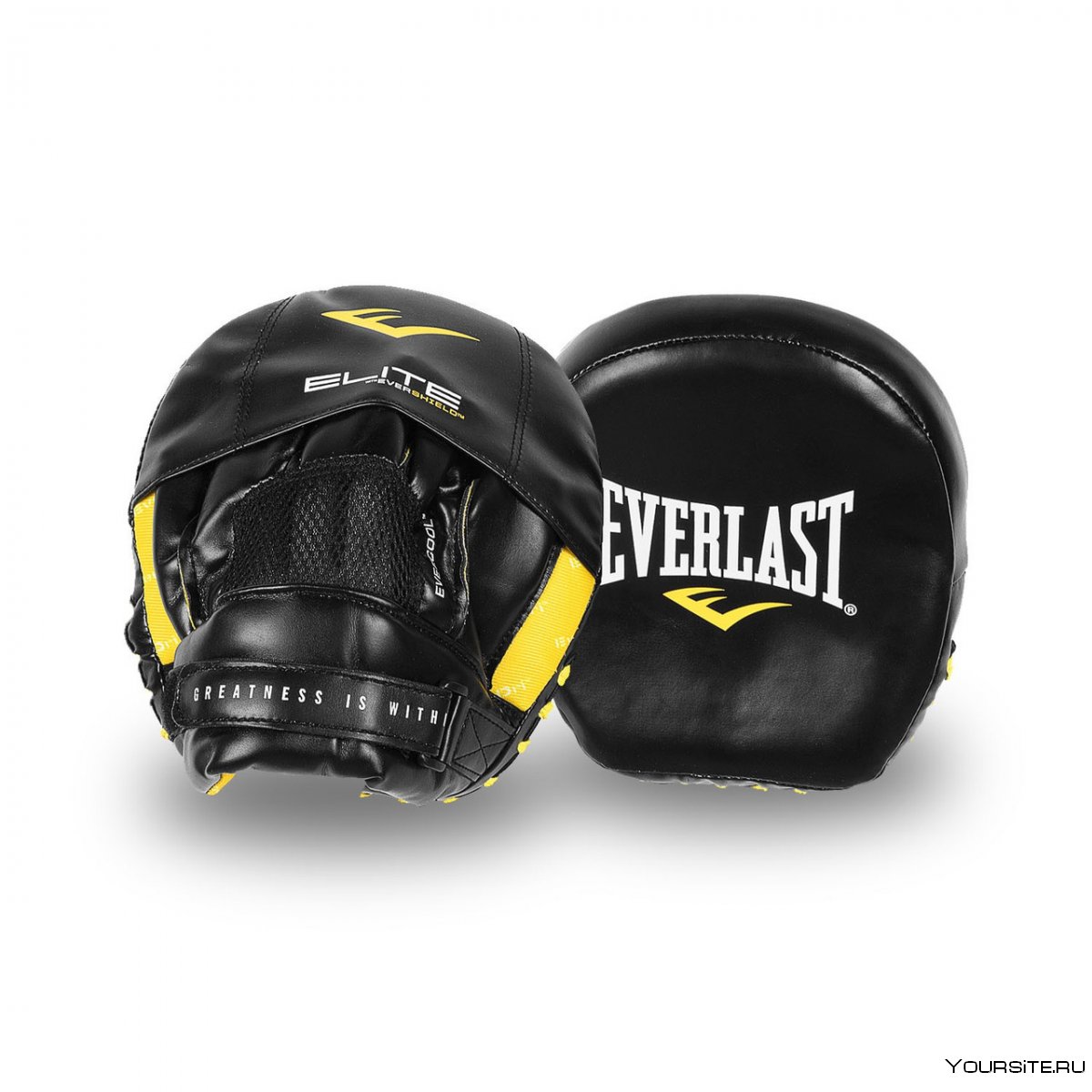 Лапы боксерские Everlast