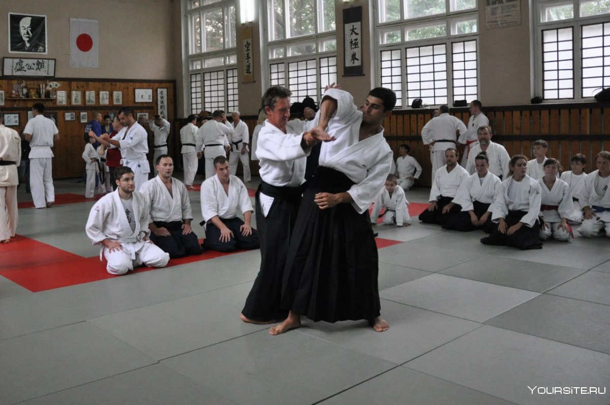Школа айкидо в Японии