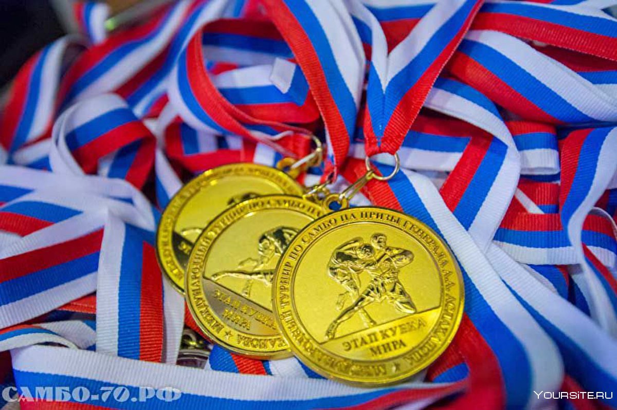 Медаль *чемпион мира по самбо*