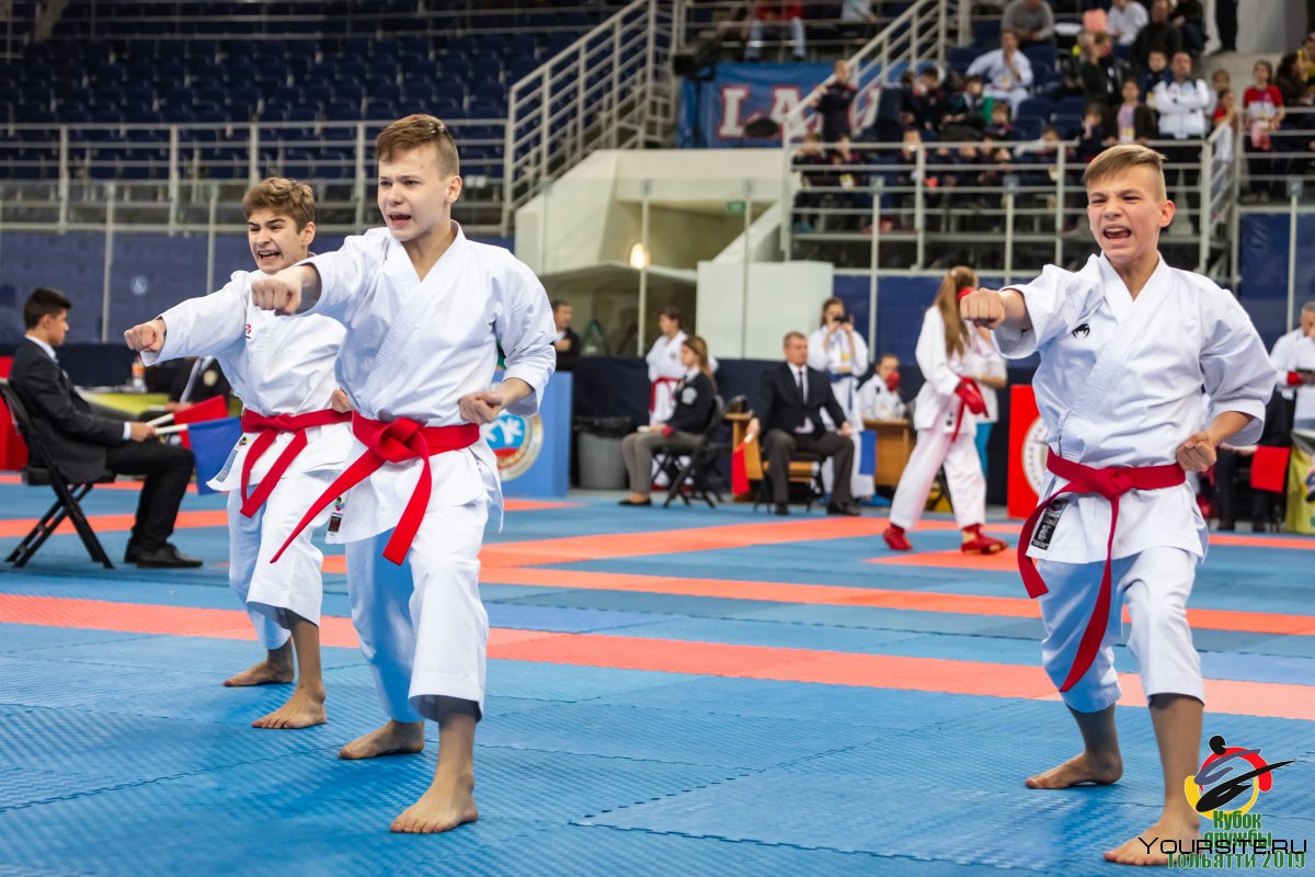 Каратэ WKF дети