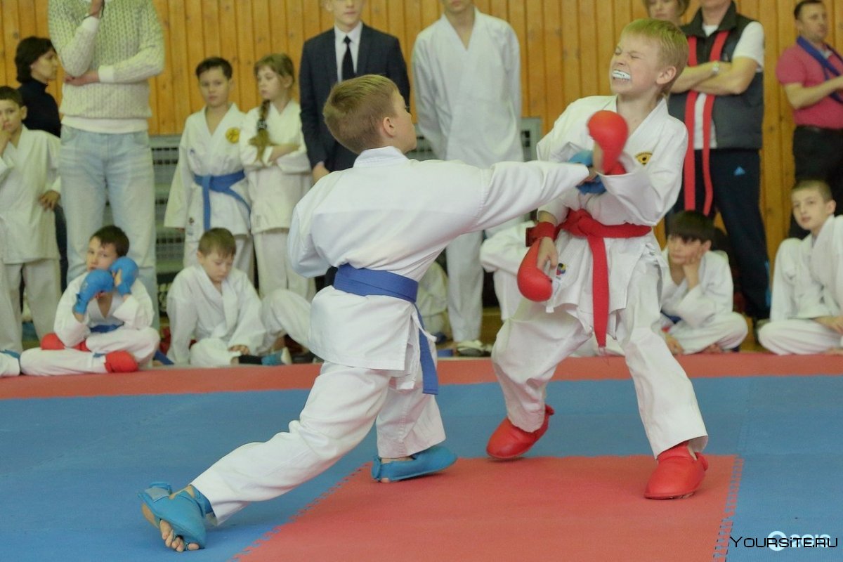 Kyokushin каратэ Bloody кумите