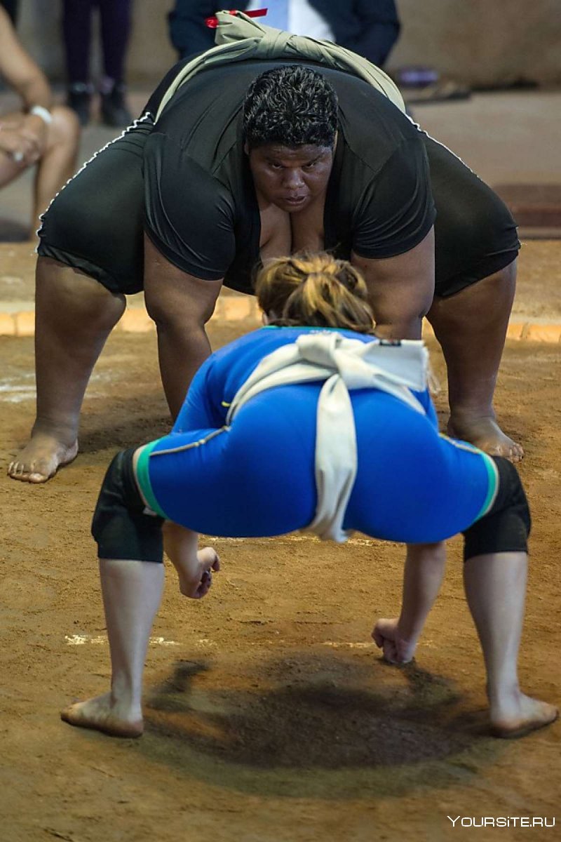 Спортивные девушки прекрасны сумо