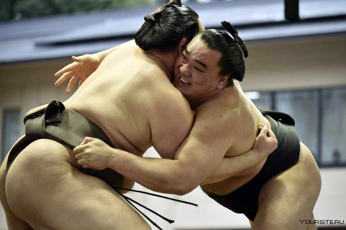 Японская женская борьба сумо