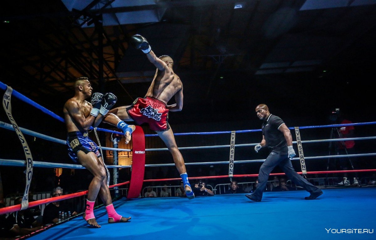 Muay Thai Boxer