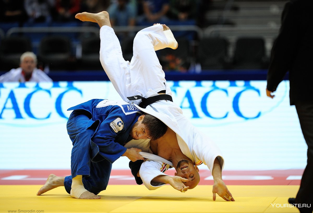Shohei Ono, judoka