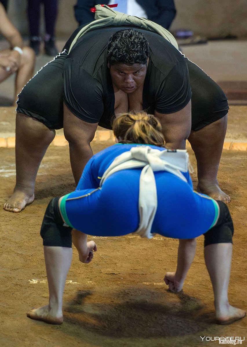 Борцы сумо женщины