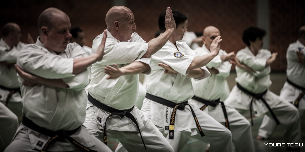 Kyokushinkai киокушинкай каратэ