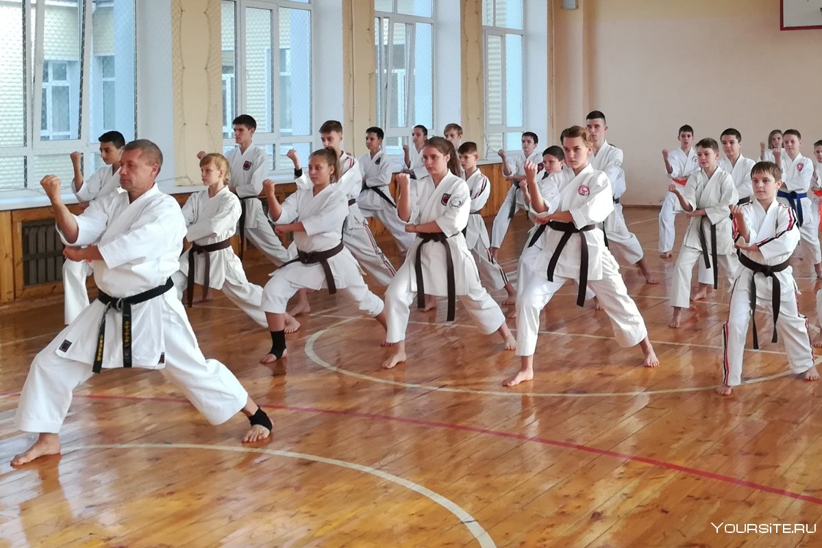Удары каратэ Фудокан