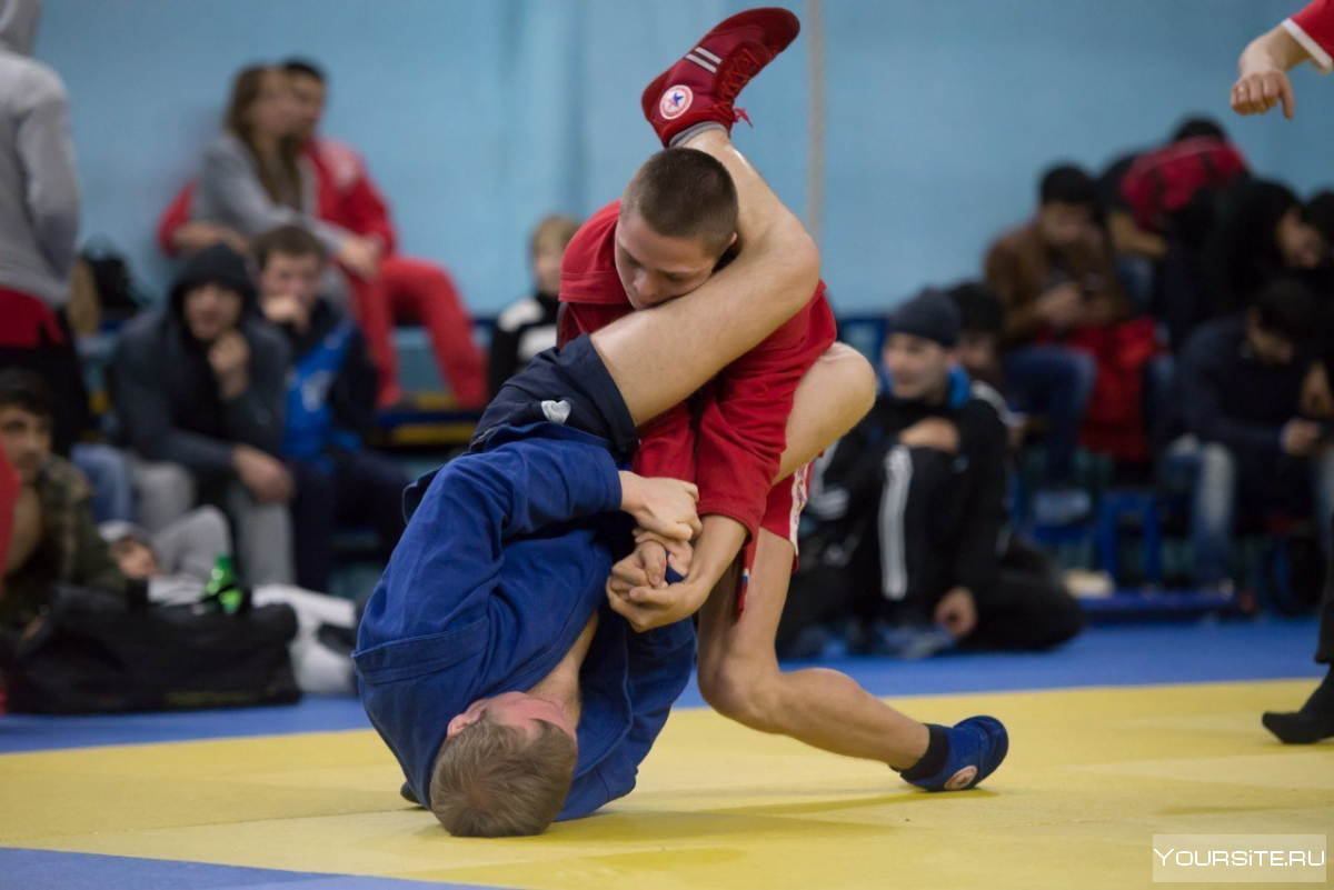 Спорт боевое самбо