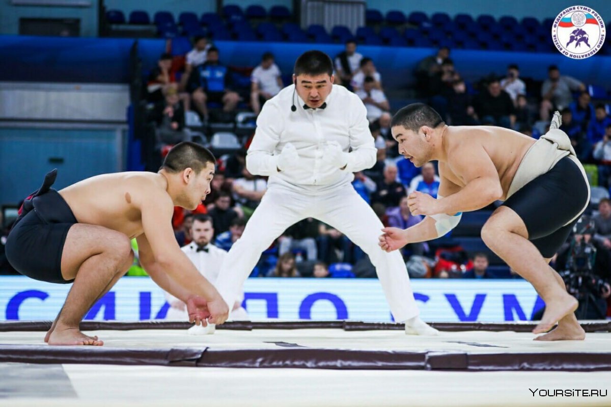 Тувинские спортсмены