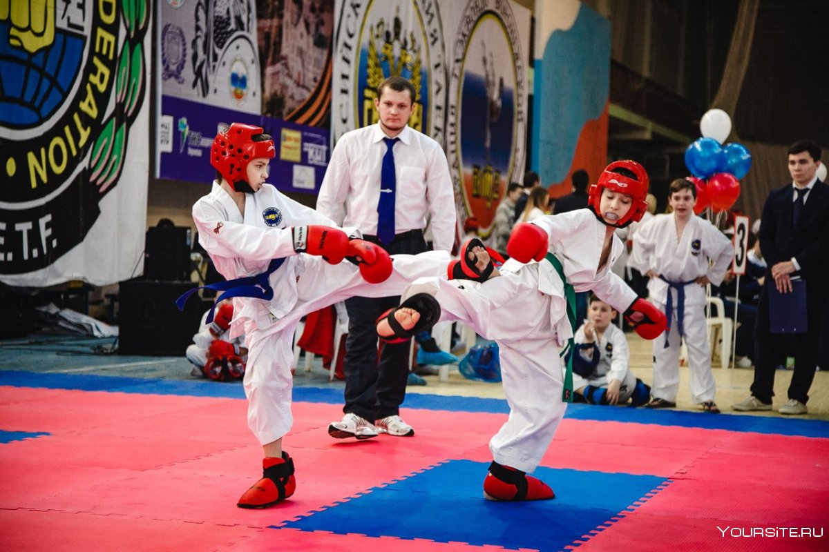 Тхэквондо ВТФ