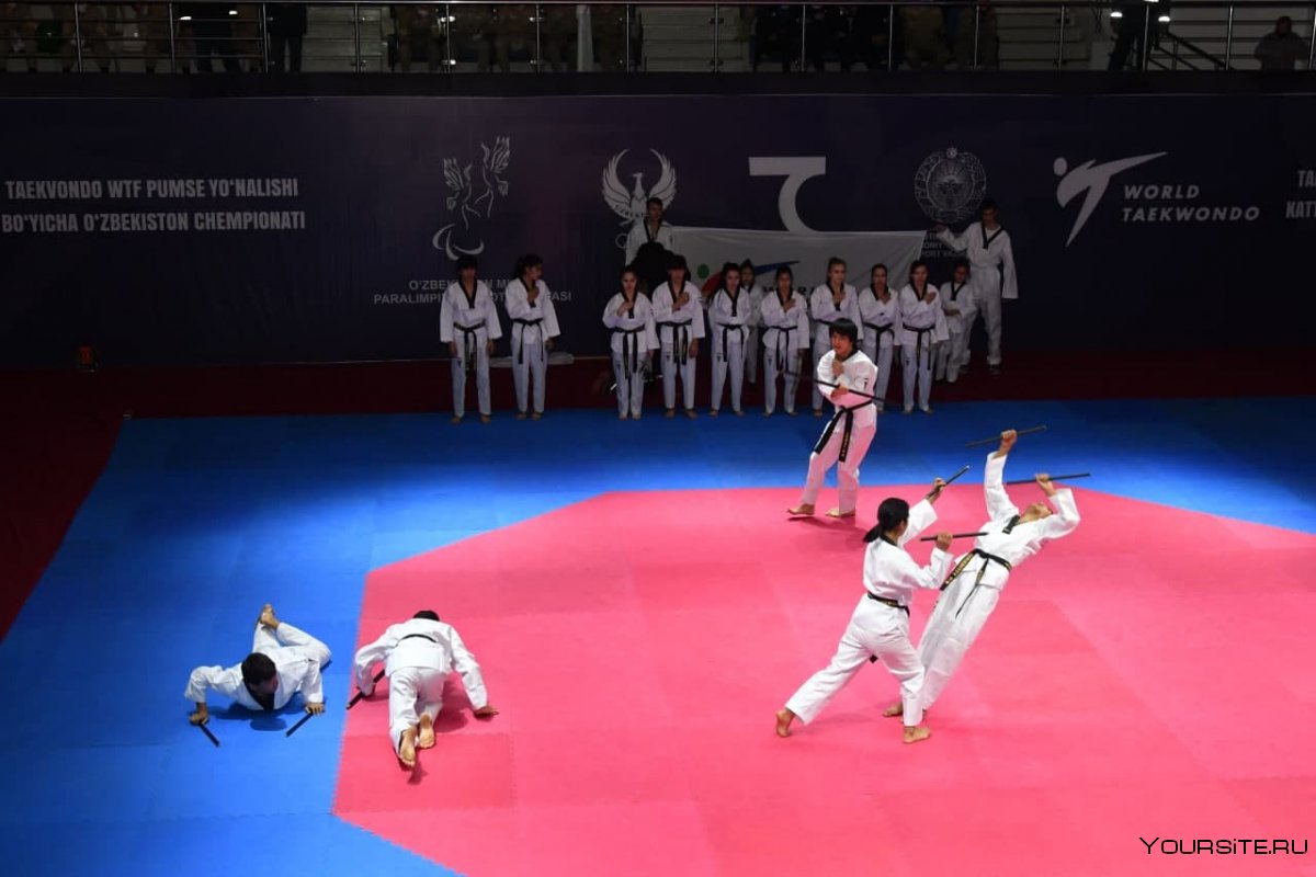 Тхэквондо ВТФ дети