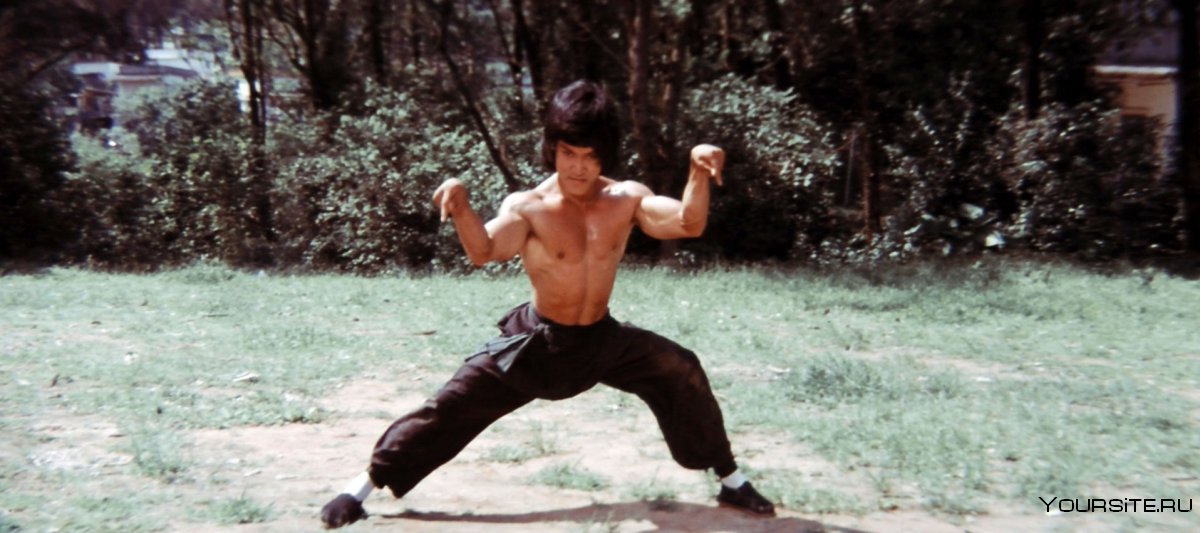 Клоны Брюса ли фильм 1980