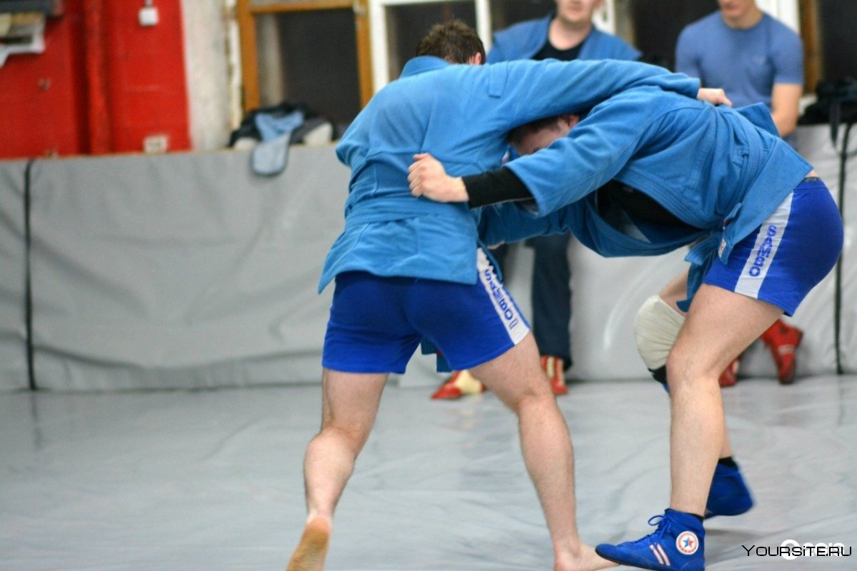 Ревва Юлия самбо мастер спорта