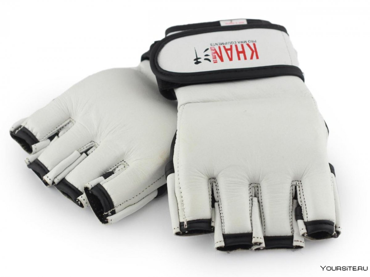 Боксерские перчатки Everlast protex2