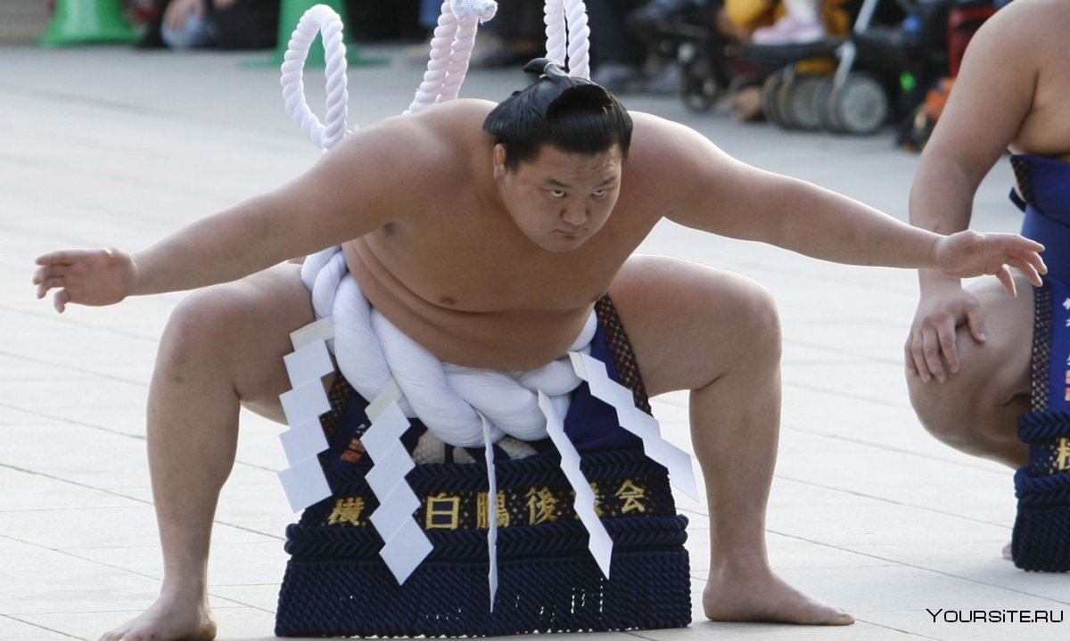 Прически борцов сумо