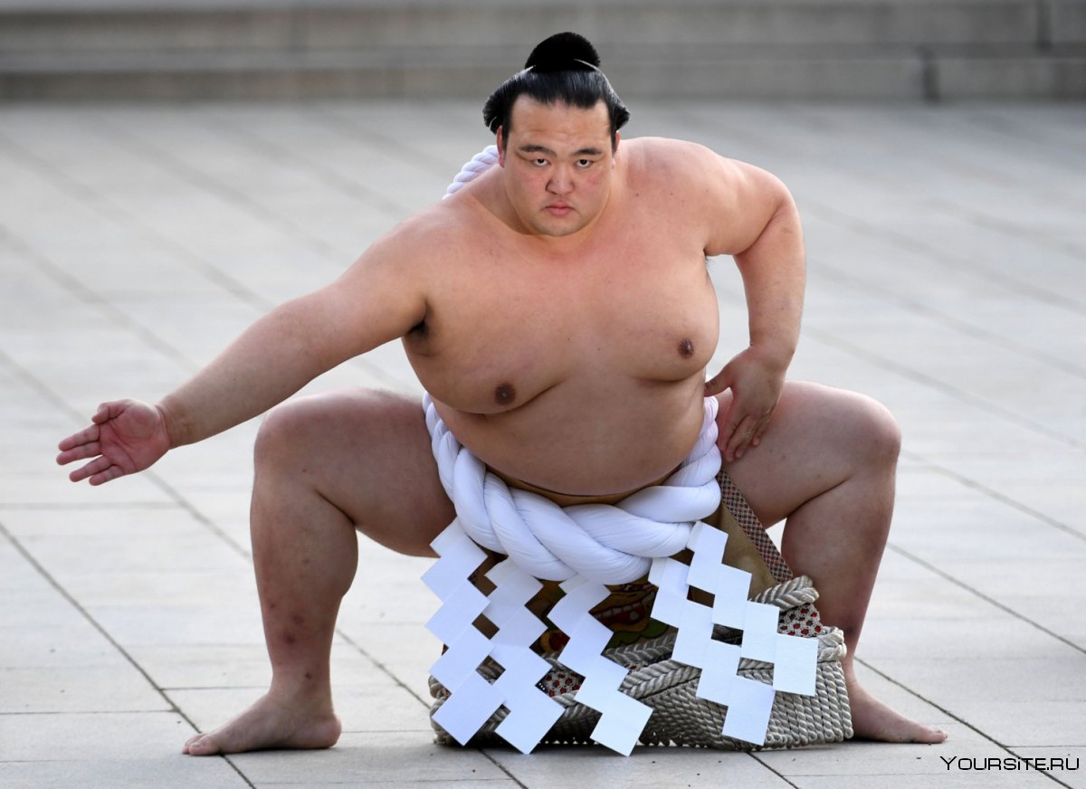 Великий сумоист Хакухо