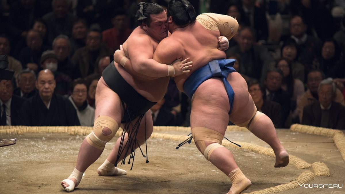 Сумо спорт в Японии