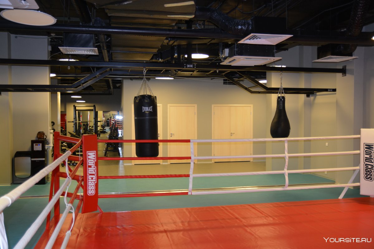 Спортивный зал для бокса