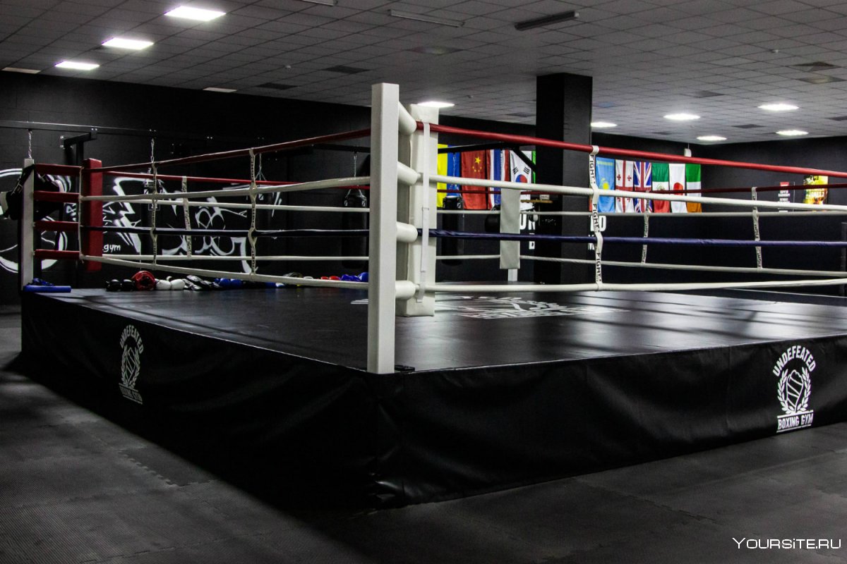 Undefeated Boxing Gym Сокол